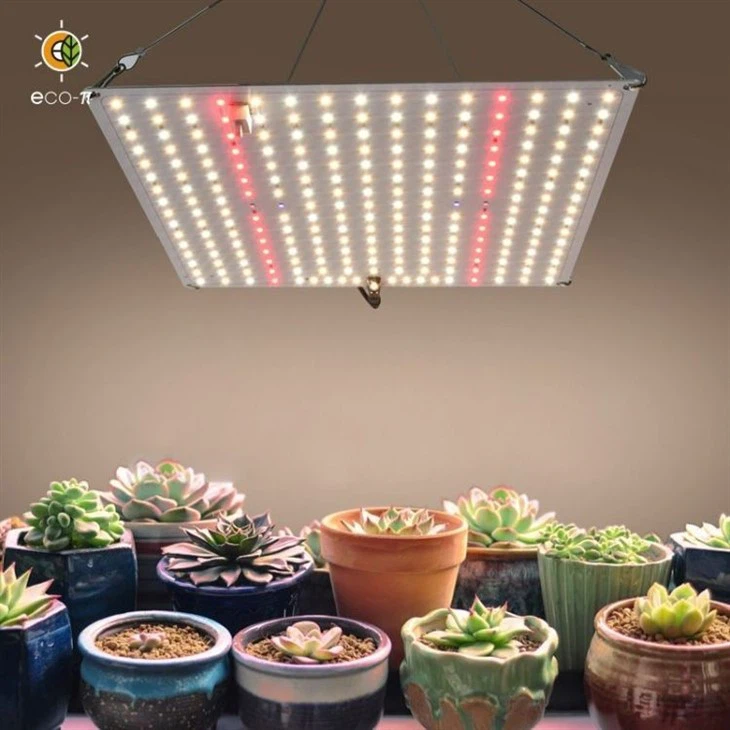 Energy-Efficient Grow Lights